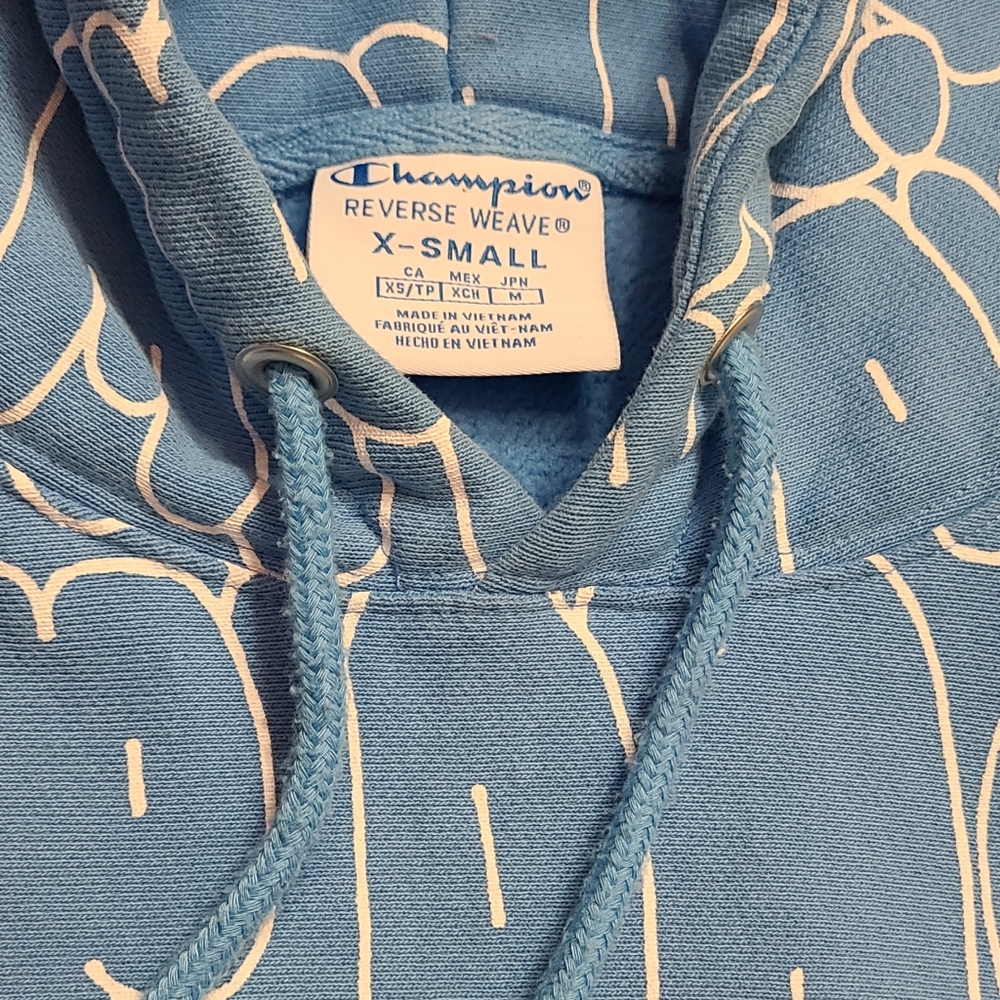 Champion Reverse Weave Hoodie - Picture 3 of 10